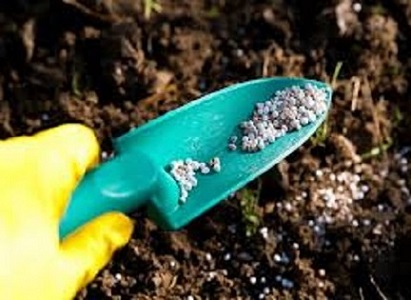 تصویر 3 از فروش بیلچه باغبانی پلاستیکی  + قیمت خرید به صرفه