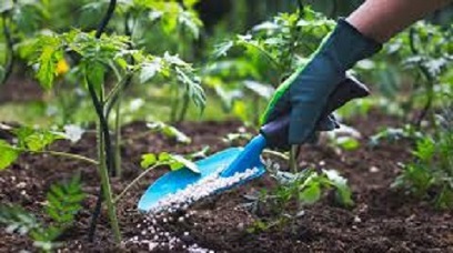 تصویر 6 از فروش بیلچه باغبانی پلاستیکی  + قیمت خرید به صرفه