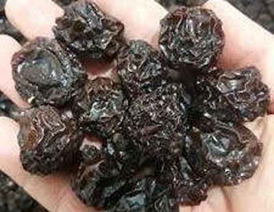 تصویر 3 از خرید و قیمت آلو جنگلی خشک + فروش عمده