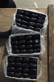 تصویر 5 از خرید و قیمت خرما مضافتی صادراتی + فروش صادراتی