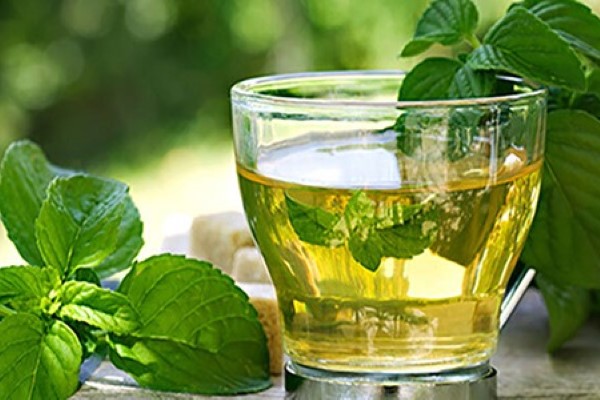 تصویر 5 از قیمت خرید عرق گیاهی نعناع + فروش ویژه