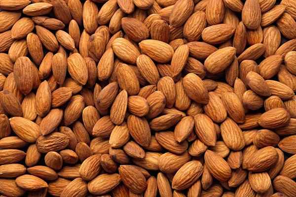 تصویر 4 از خرید و قیمت بادام مامایی درجه یک + فروش صادراتی