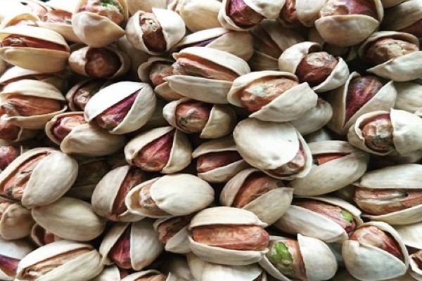 تصویر 4 از قیمت و خرید پسته کله قوچی رفسنجان + فروش ارزان