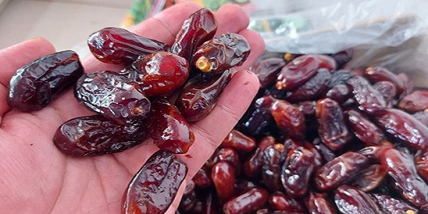 تصویر 2 از فروش خرما ربی ایرانشهر + قیمت خرید به صرفه