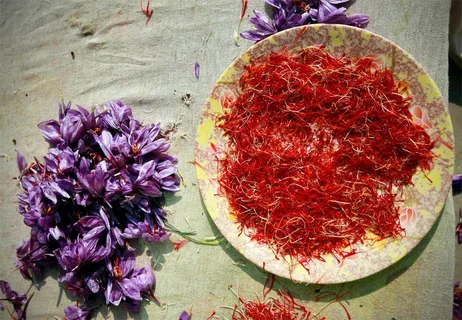 تصویر 5 از خرید و فروش زعفران اعلا صادراتی با شرایط فوق العاده