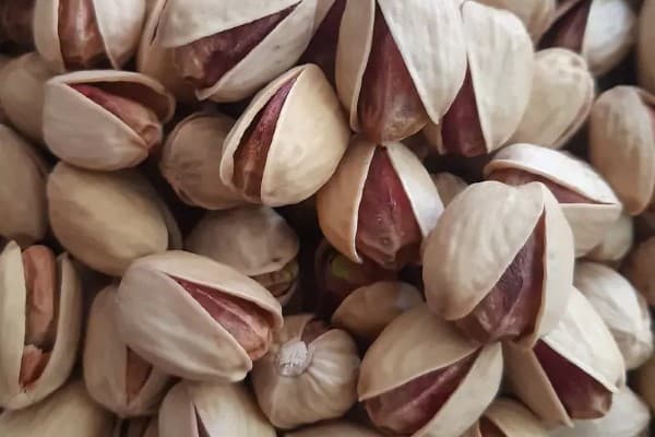 تصویر 3 از قیمت پسته رقم کله قوچی + پخش تولیدی عمده کارخانه