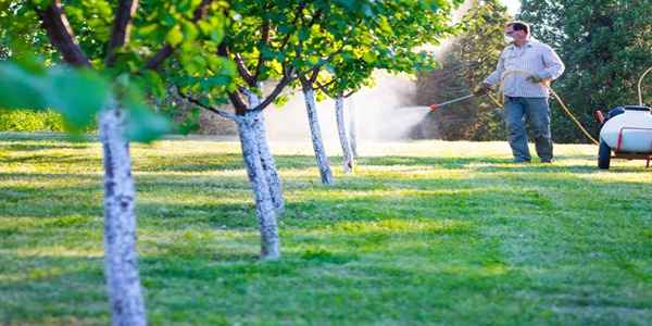 تصویر 3 از قیمت خرید کود ارگانیک جنگل + فروش ویژه