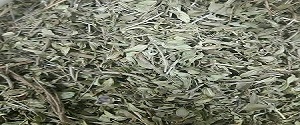 تصویر 3 از خرید و قیمت آویشن خشک صادراتی + فروش عمده