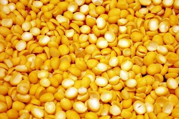 تصویر 3 از قیمت خرید لپه درشت گلستان آرتمیس + فروش ویژه