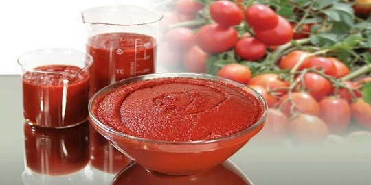 تصویر 2 از فروش رب گوجه ارگانیک + قیمت خرید به صرفه