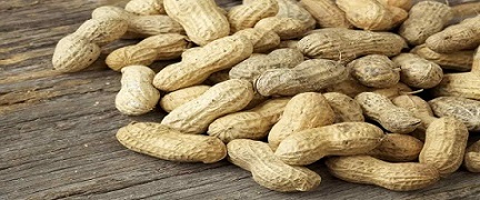 تصویر 5 از خرید و قیمت بادام زمینی روکش دار اصفهان+ فروش صادراتی
