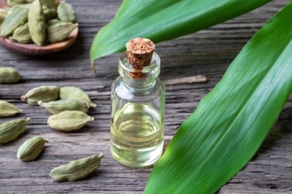 تصویر 4 از فروش عرق گیاهی هل + قیمت خرید به صرفه
