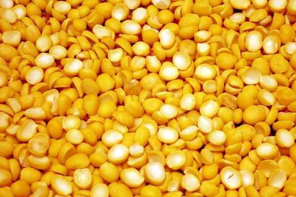 تصویر 5 از خرید لپه خورشتی آرتمیس + قیمت فروش استثنایی