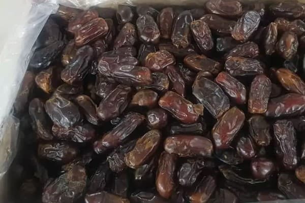 تصویر 3 از قیمت خرید خرمای رقم استعمران عمده به صرفه و ارزان