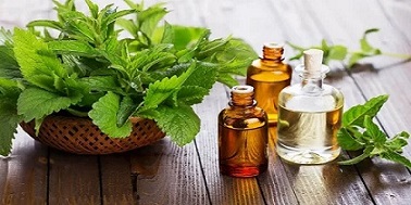 تصویر 2 از خرید اسانس نعنا خوراکی + بهترین قیمت