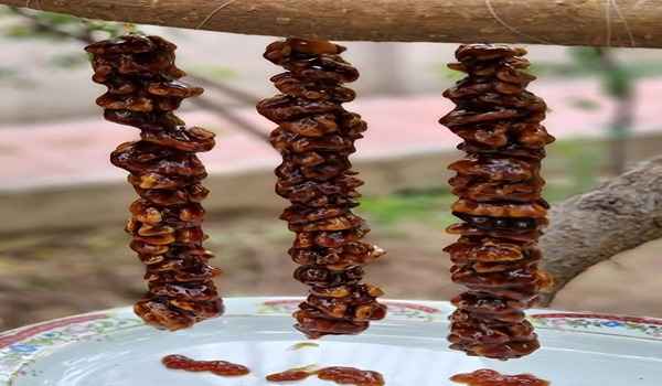 تصویر 2 از فروش سوجوق شیره انگور + قیمت خرید به صرفه