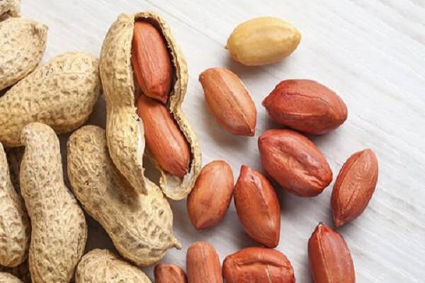 تصویر 5 از خرید و فروش بادام زمینی کپسولی با شرایط فوق العاده