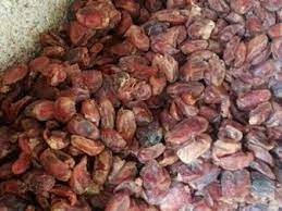 تصویر 4 از قیمت خرید خرما ضایعاتی شیراز + فروش ویژه