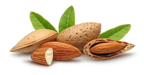 تصویر 2 از خرید بادام مامایی اصفهان قیمت فروش استثنایی