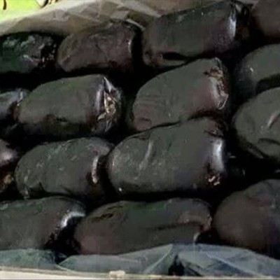 تصویر 3 از قیمت خرید خرما مضافتی صادراتی + فروش ویژه