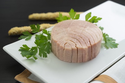 تصویر 4 از قیمت خرید تن ماهی مکنزی + فروش ویژه
