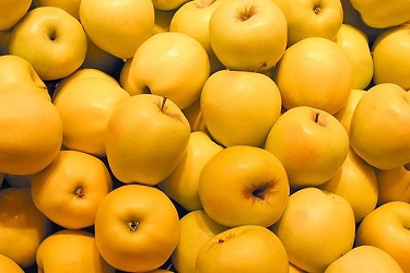 تصویر 5 از قیمت خرید سیب زرد لبنانی + فروش ویژه