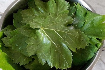 تصویر 3 از خرید برگ مو درجه یک + قیمت عالی باکیفیت