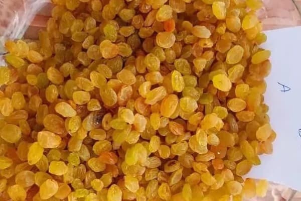 تصویر 5 از قیمت کشمش سلطانا ملایر + خرید باور نکردنی
