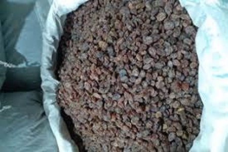 تصویر 5 از قیمت کشمش آفتابی تاکستان با کیفیت ارزان + خرید عمده
