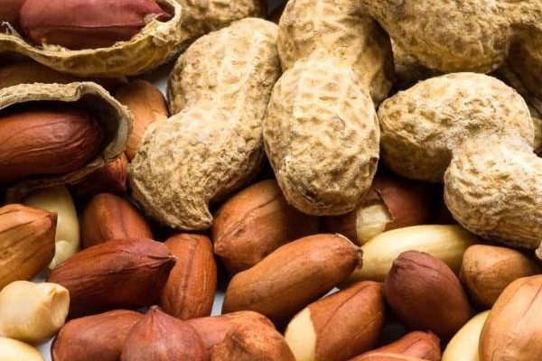 تصویر 1 از قیمت بادام زمینی فله + خرید باور نکردنی