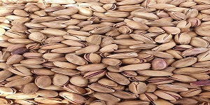 تصویر 1 از خرید و قیمت پسته تازه مشهد فروش عمده