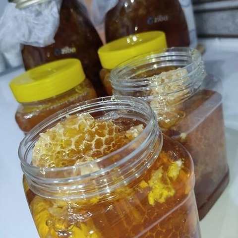فروش عسل کوهی اصل + قیمت خرید به صرفه