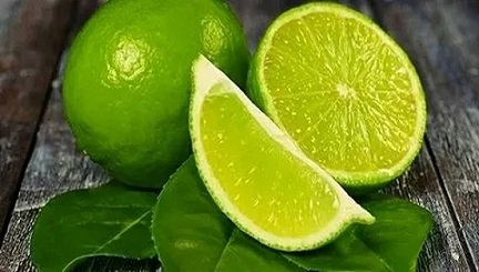 تصویر 1 از قیمت خرید لیمو ترش شیراز + فروش ویژه