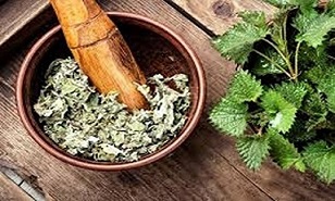خرید گیاه دارویی