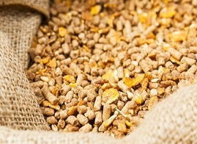 تصویر 1 از خرید و قیمت خوراک ماهی های زینتی آکواریومی + فروش عمده