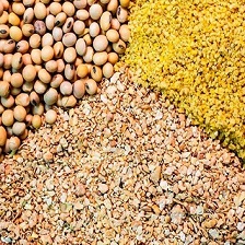 خرید و قیمت خوراک ماهی های زینتی آکواریومی + فروش عمده