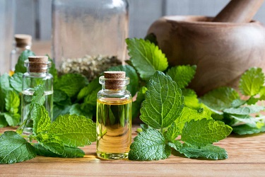 تصویر 4 از قیمت خرید اسانس نعنا فلفلی + فروش ویژه