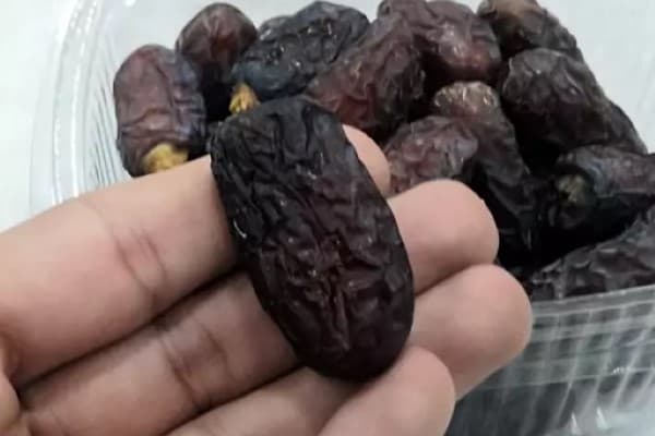 تصویر 4 از خرید جدیدترین انواع خرمای پیارم بم