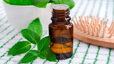 تصویر 4 از خرید اسانس گیاهی خوشبو + قیمت عالی باکیفیت