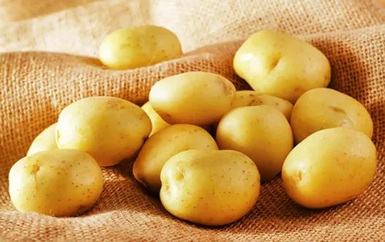 تصویر 3 از خرید و قیمت سیب زمینی آگریا + فروش صادراتی