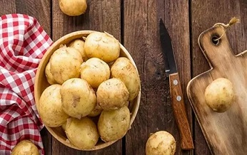 تصویر 1 از خرید و قیمت سیب زمینی آگریا + فروش صادراتی