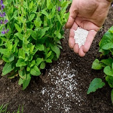 قیمت کود نانو بیو ارگانیک + خرید باور نکردنی