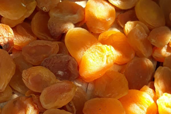 تصویر 3 از قیمت خرید قیسی درجه یک + فروش ویژه