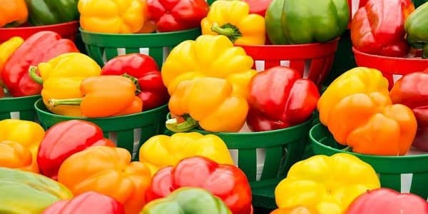 تصویر 3 از خرید فلفل دلمه ای سه رنگ + قیمت فروش استثنایی
