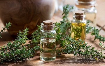 تصویر 2 از خرید اسانس گیاهی آویشن + بهترین قیمت