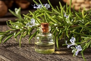 تصویر 3 از قیمت اسانس گیاهی رزماری + خرید باور نکردنی