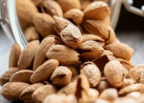 تصویر 4 از خرید و قیمت بادام مامایی اصفهان + فروش عمده