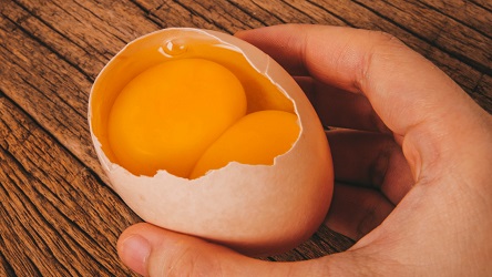 تصویر 5 از قیمت خرید زرده تخم مرغ کیلویی + فروش ویژه