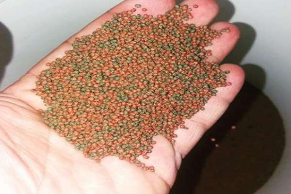 تصویر 3 از فروش خوراک ماهی آکواریومی + قیمت خرید به صرفه