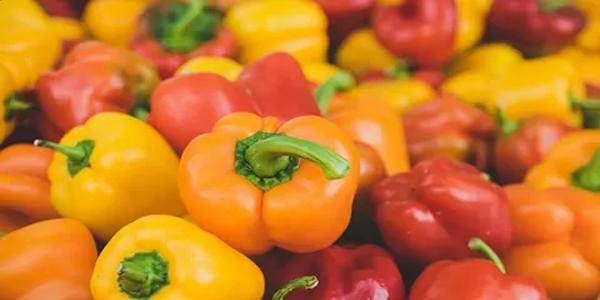 تصویر 1 از خرید و قیمت فلفل دلمه رنگی + فروش عمده